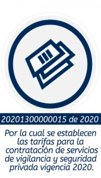 20201300000015-de-2020