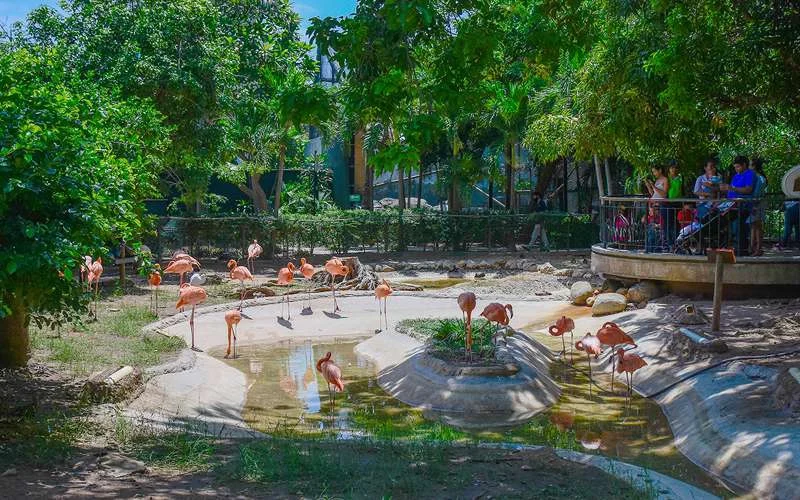 Zoológico