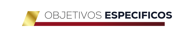 objetivos-especificos_105242
